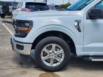 2025 F-150 Thumbnail 9