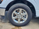2025 F-150 Thumbnail 10