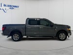2025 F-150 Thumbnail 4