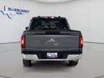 2025 F-150 Thumbnail 6