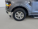 2025 F-150 Thumbnail 9