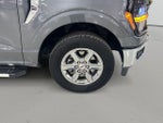 2025 F-150 Thumbnail 10
