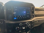 2025 F-150 Thumbnail 15