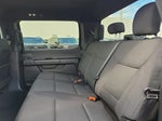 2024 F-150 Thumbnail 18