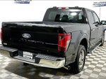 2025 F-150 Thumbnail 9
