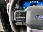 2025 F-150 Thumbnail 14
