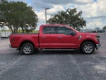 2024 F-150 Thumbnail 4