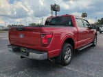 2024 F-150 Thumbnail 5