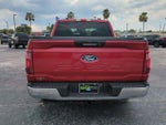 2024 F-150 Thumbnail 6