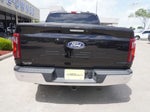 2024 F-150 Thumbnail 4