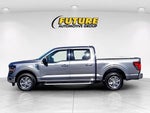 2025 F-150 Thumbnail 7