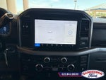 2025 F-150 Thumbnail 15