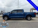 2024 F-150 Thumbnail 10
