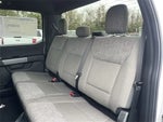 2025 F-150 Thumbnail 21