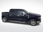 2024 F-150 Thumbnail 2