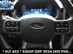 2025 F-150 Thumbnail 19