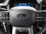 2025 F-150 Thumbnail 11