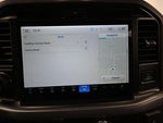 2025 F-150 Thumbnail 12