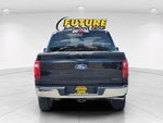 2025 F-150 Thumbnail 8
