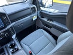 2024 F-150 Thumbnail 14