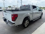 2025 F-150 Thumbnail 6