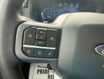 2025 F-150 Thumbnail 18