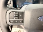2025 F-150 Thumbnail 17