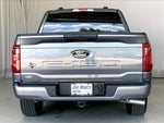 2025 F-150 Thumbnail 3