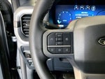 2025 F-150 Thumbnail 21