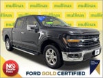 2024 F-150 Thumbnail 1