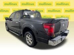 2024 F-150 Thumbnail 11