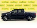 2024 F-150 Thumbnail 12