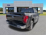 2024 F-150 Thumbnail 4