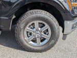 2024 F-150 Thumbnail 12