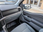 2024 F-150 Thumbnail 18