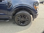 2024 F-150 Thumbnail 10