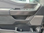 2024 F-150 Thumbnail 12