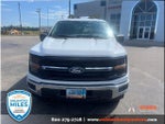 2024 F-150 Thumbnail 3