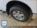 2024 F-150 Thumbnail 29