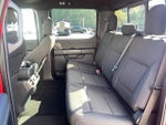 2024 F-150 Thumbnail 12