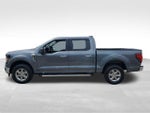 2025 F-150 Thumbnail 7