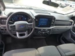 2025 F-150 Thumbnail 10