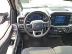 2025 F-150 Thumbnail 11