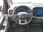 2025 F-150 Thumbnail 12