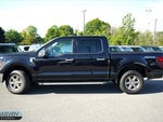 2025 F-150 Thumbnail 2