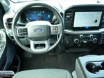 2025 F-150 Thumbnail 4