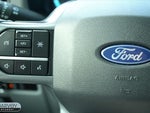 2025 F-150 Thumbnail 6