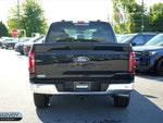 2025 F-150 Thumbnail 18