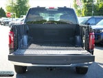 2025 F-150 Thumbnail 19