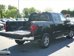 2025 F-150 Thumbnail 20
